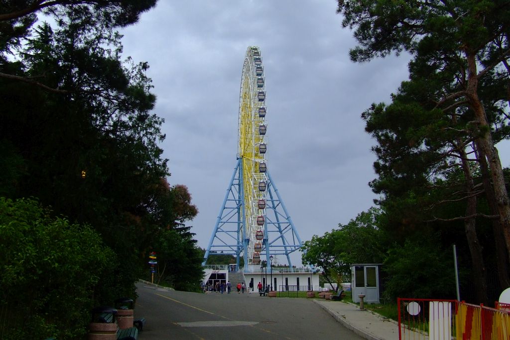 10 DSCF3240