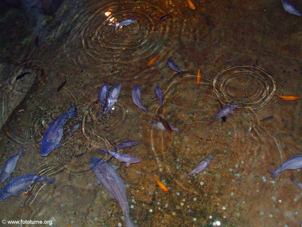 В XVI веке эти водохранилища оказались забыты
