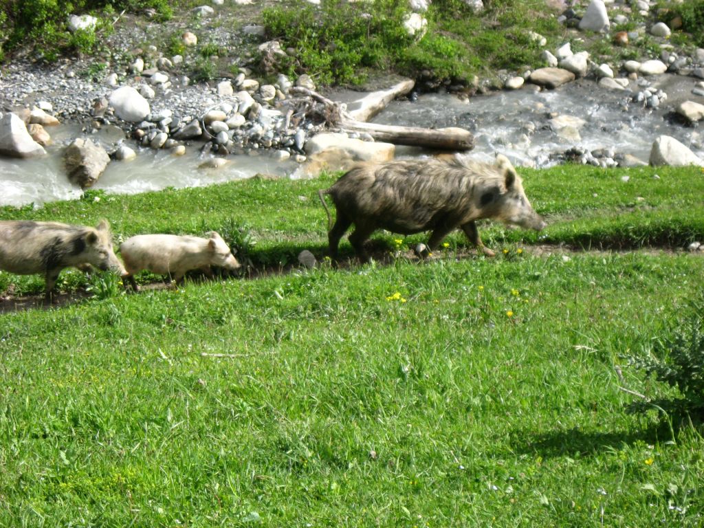 10 IMG 7352