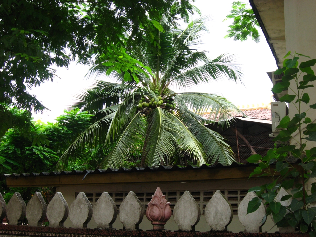 10 IMG 8688