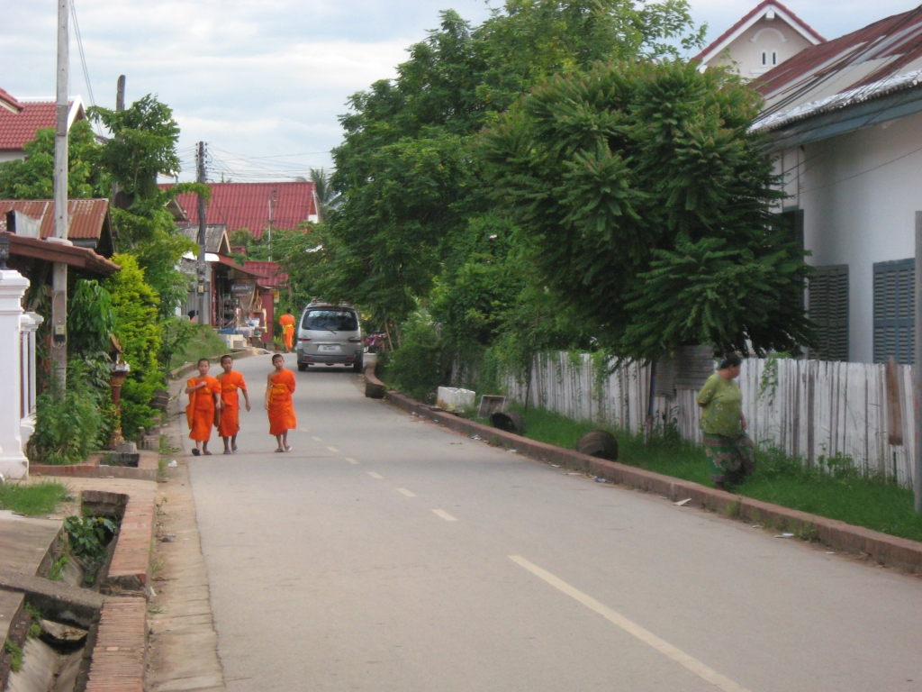 10 IMG 9685