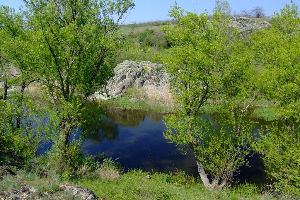 Весной везде красиво