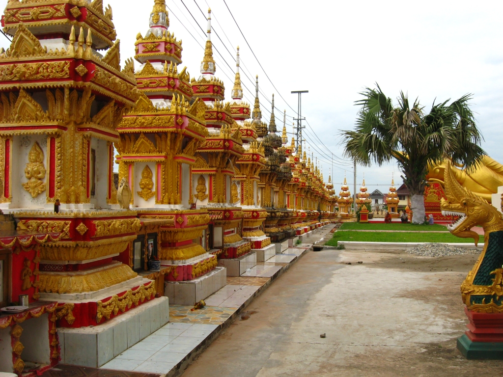 118 IMG 8752