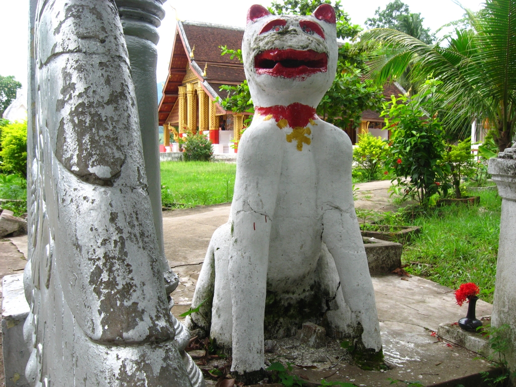 11 IMG 9344