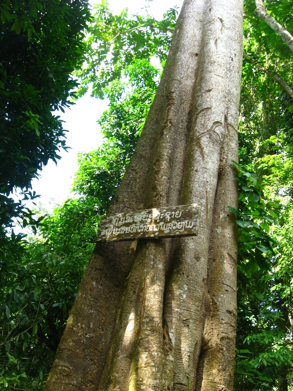 121 IMG 9613