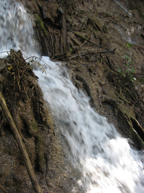 124 IMG 9644
