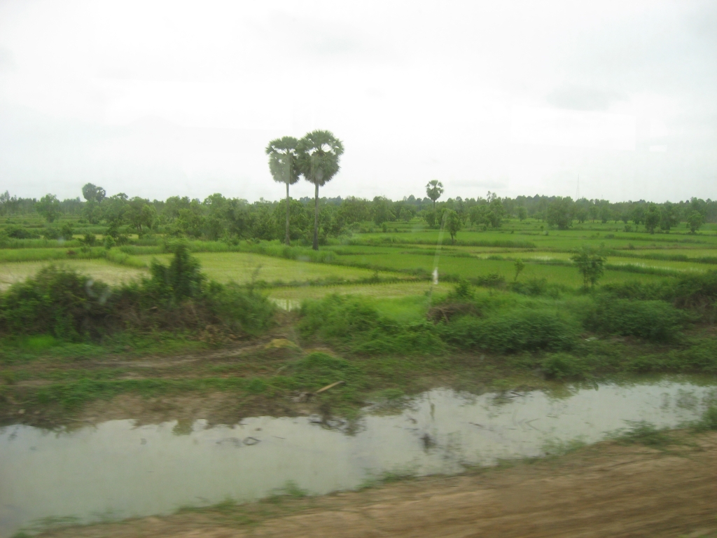 128 IMG 8529