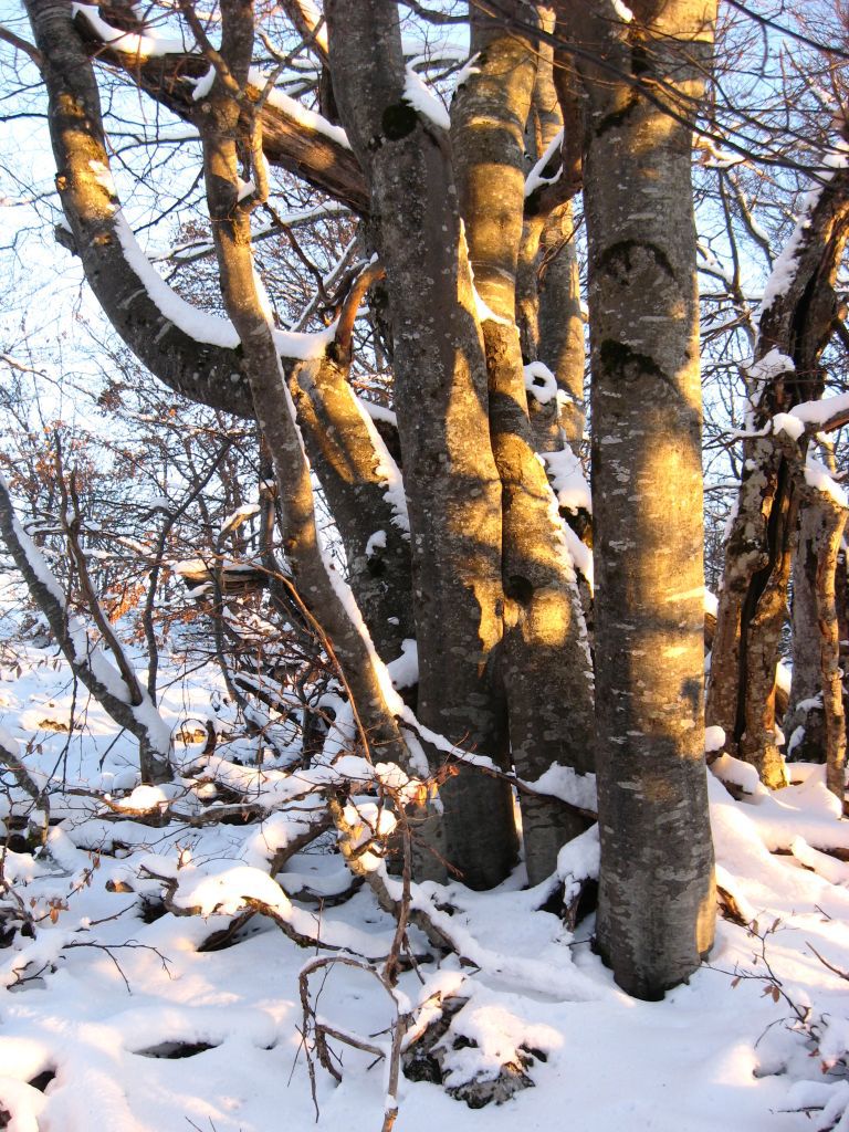 Улыбка Солнца :)