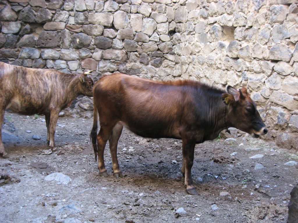 13 IMG 8991