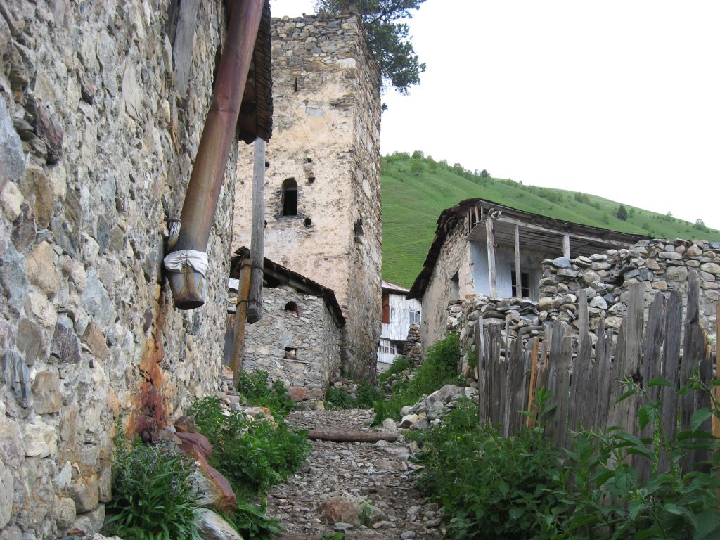 14 IMG 7389
