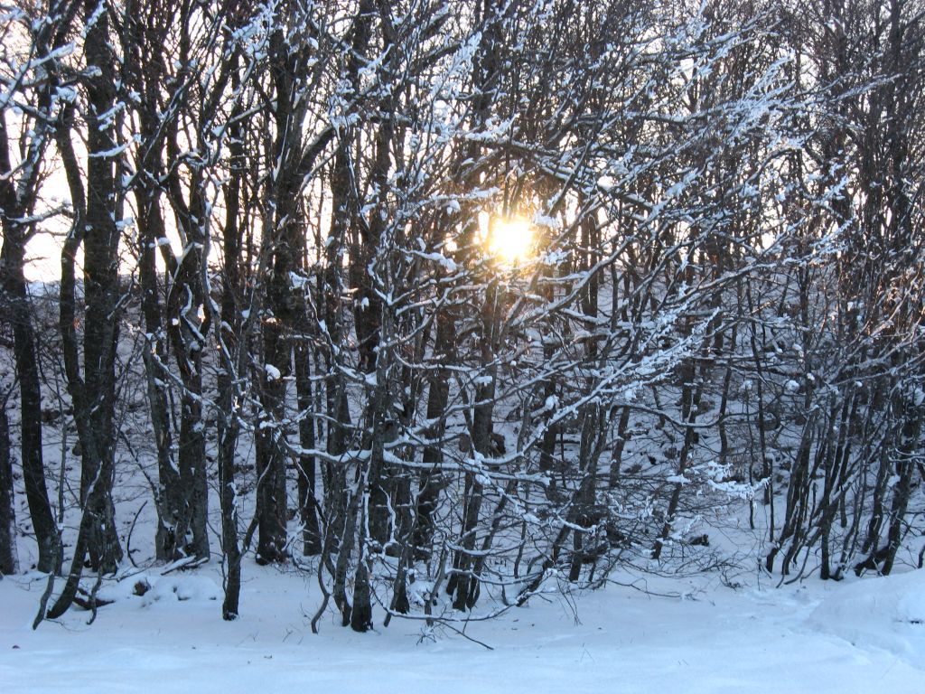 Вечернее Солнце