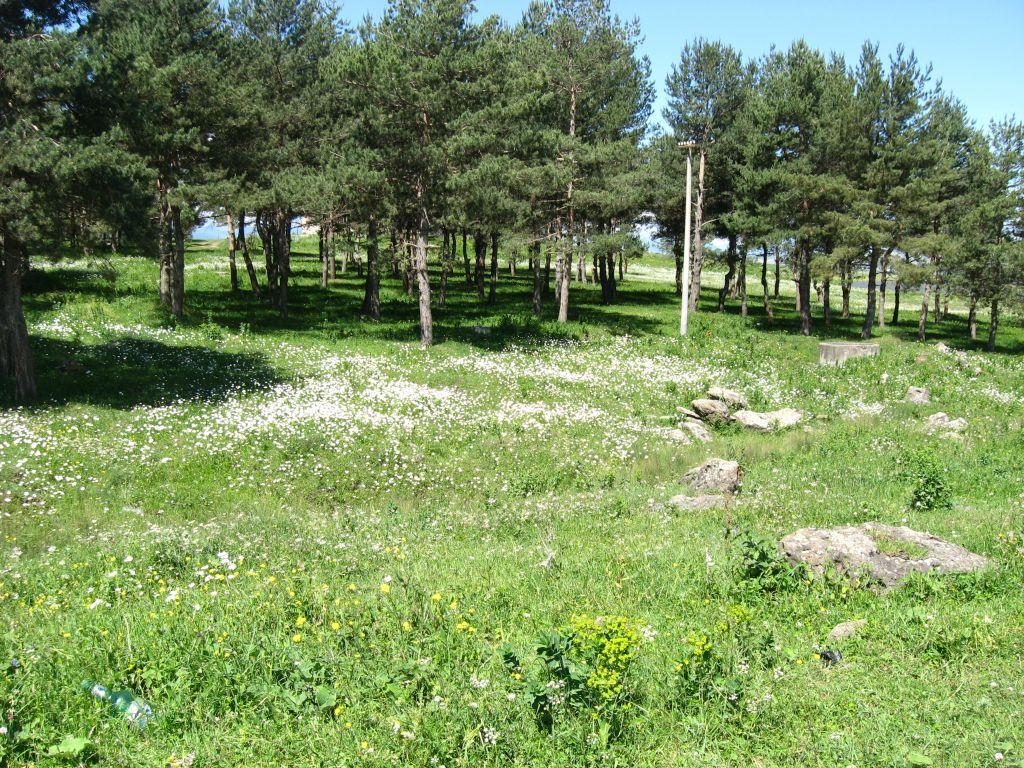 15 IMG 8712