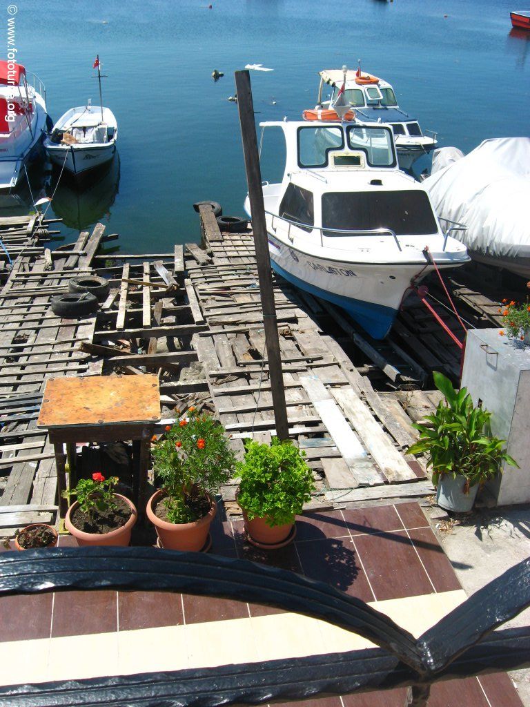 Видели её моря и горы