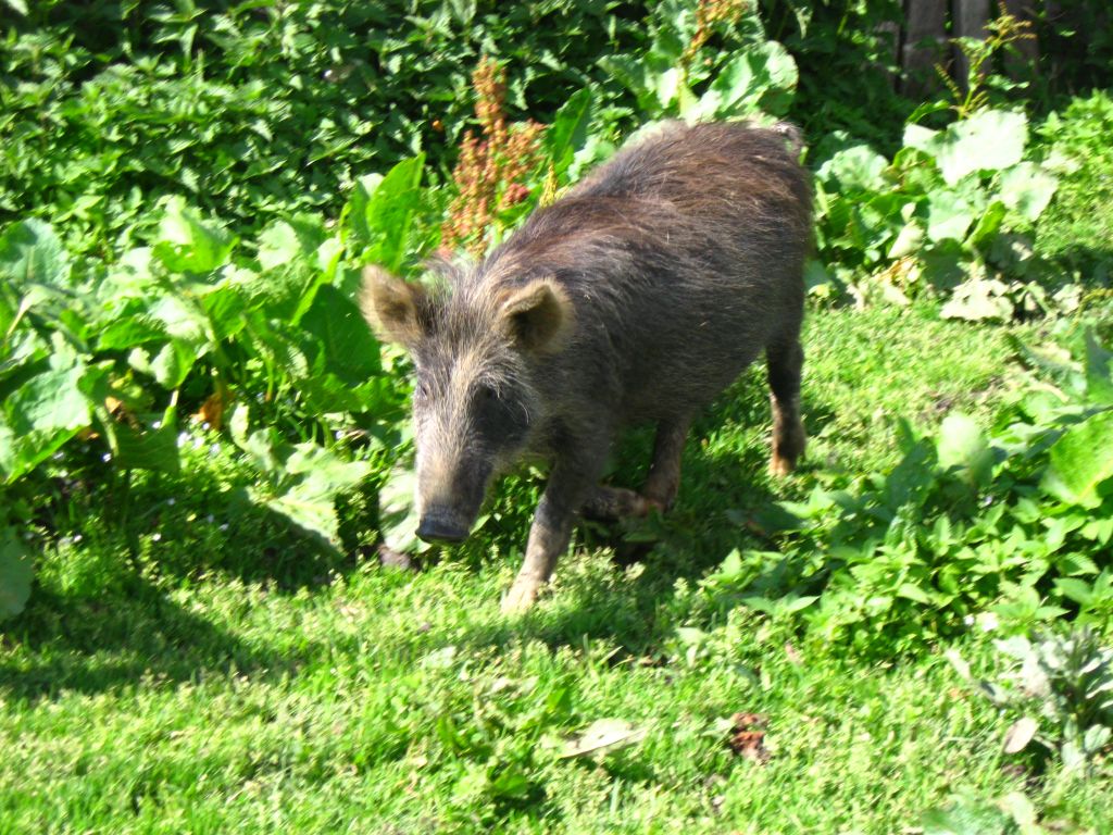 16 IMG 7784