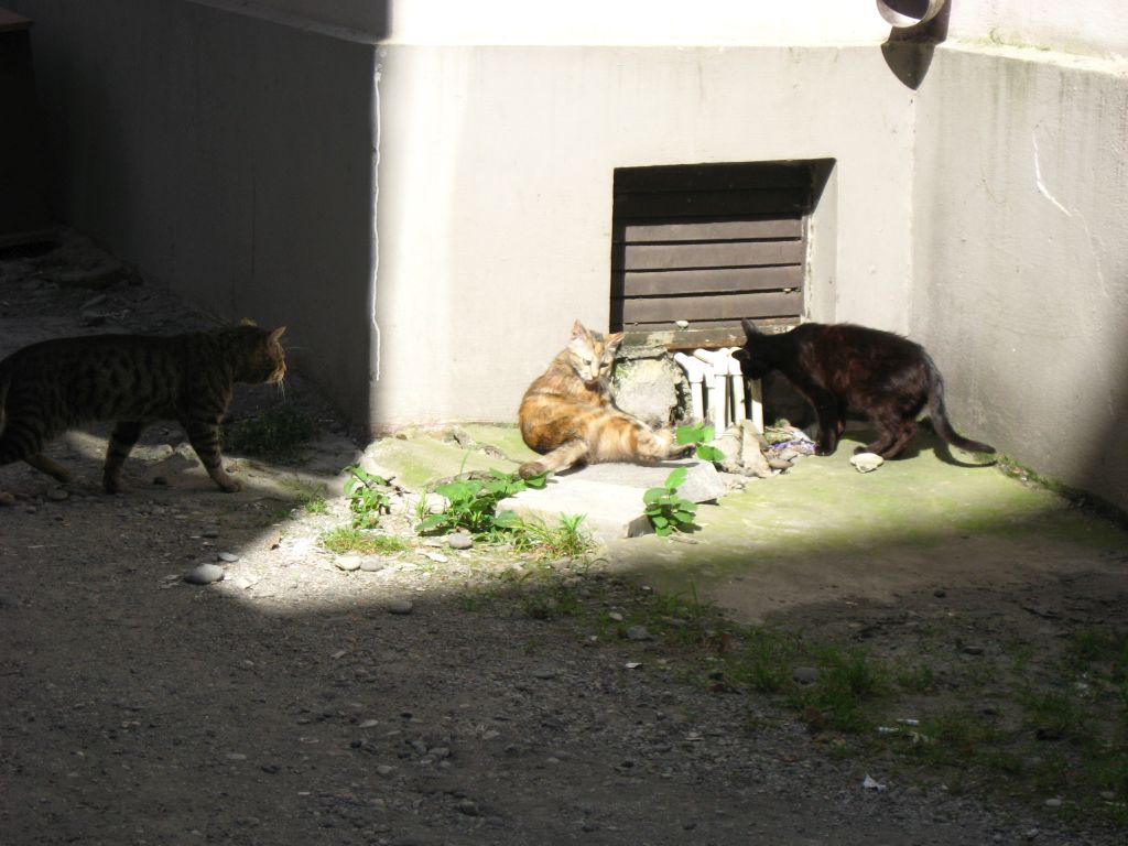 16 IMG 9308