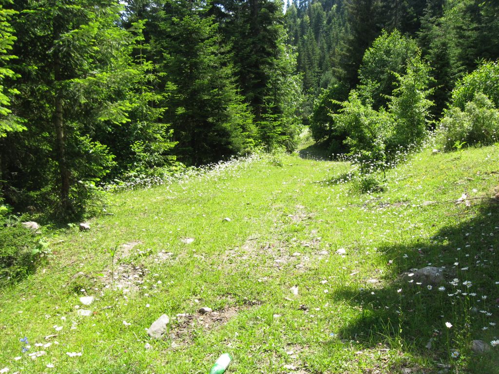 18 IMG 9234