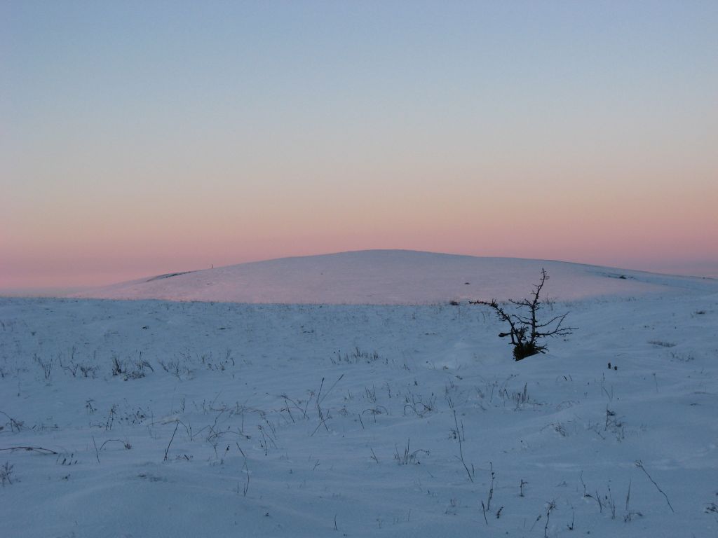 Нежность