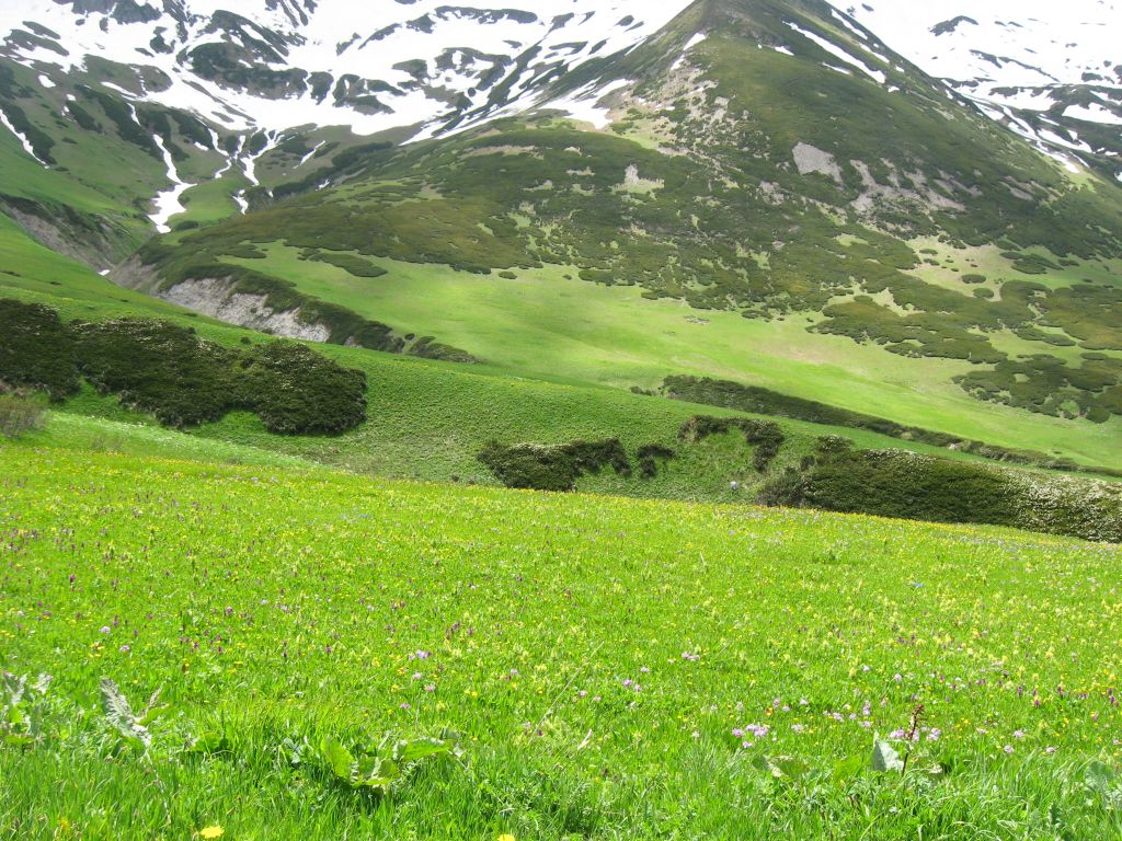 1 IMG 7928