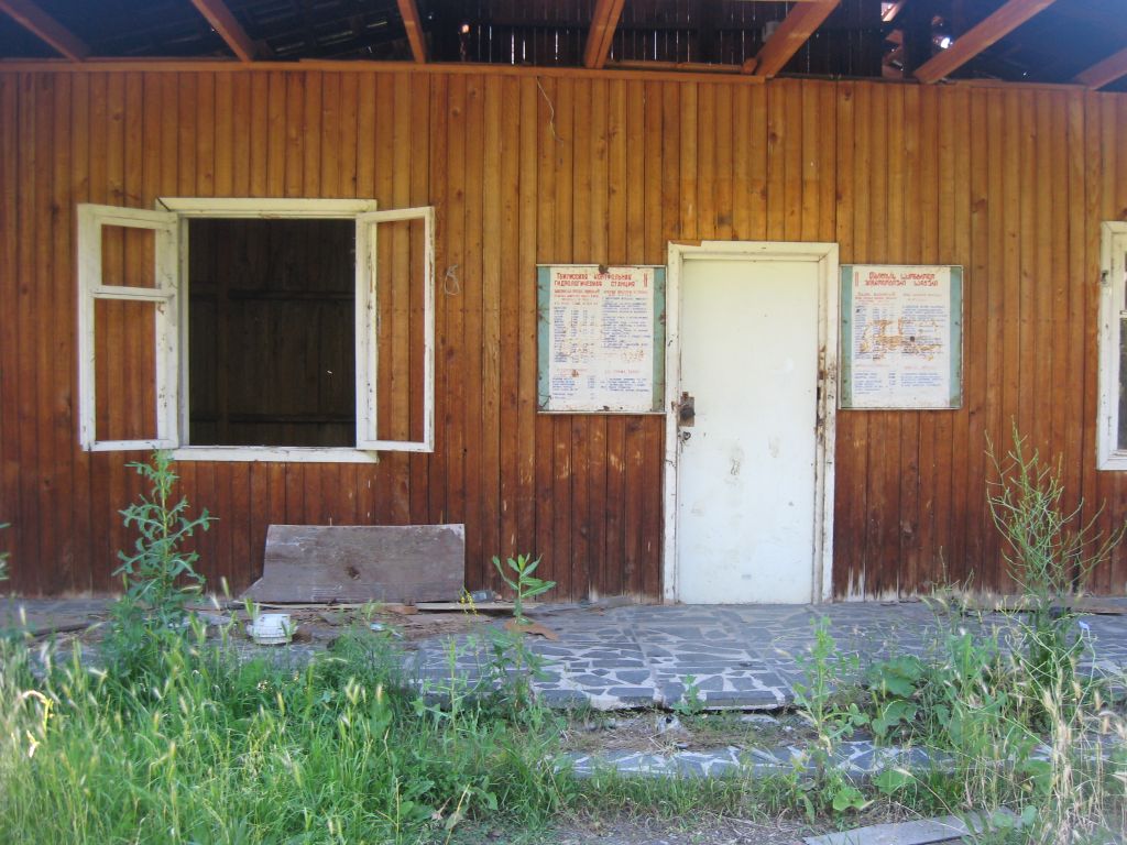 1 IMG 9123