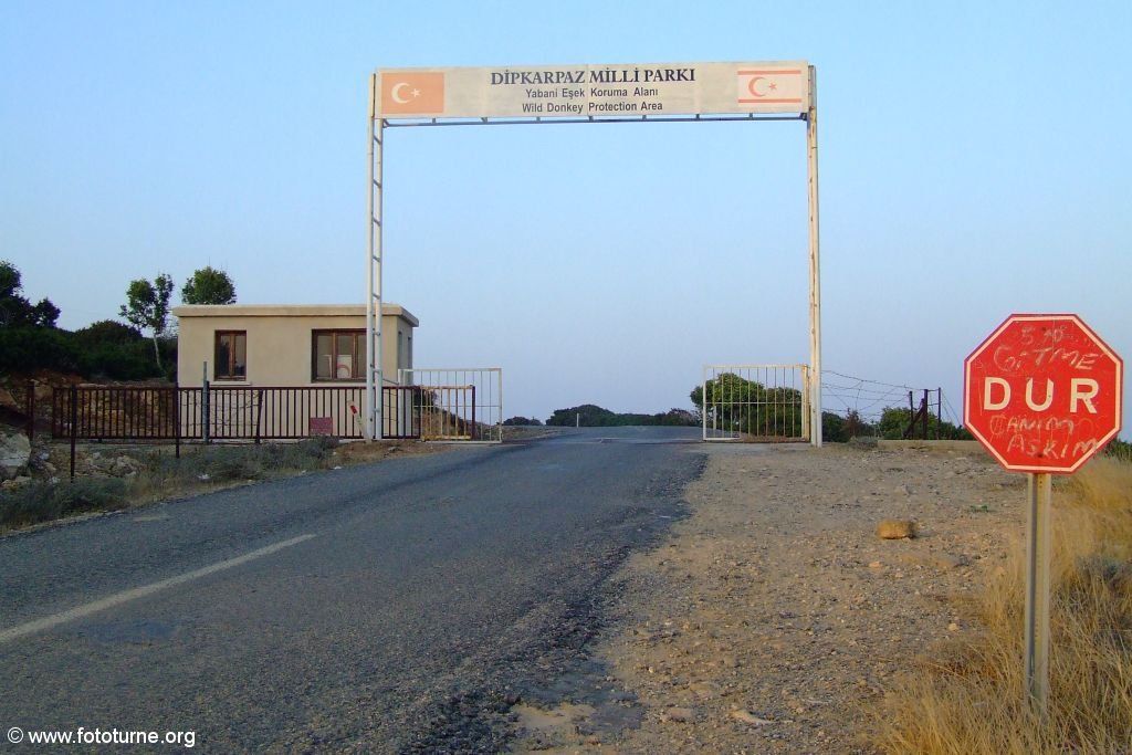 Дипкарпаз. Заповедник