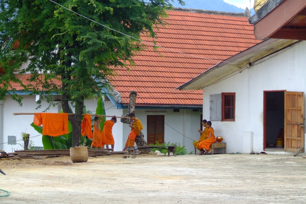 20 DSCF7515