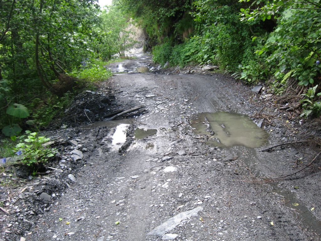 20 IMG 7973