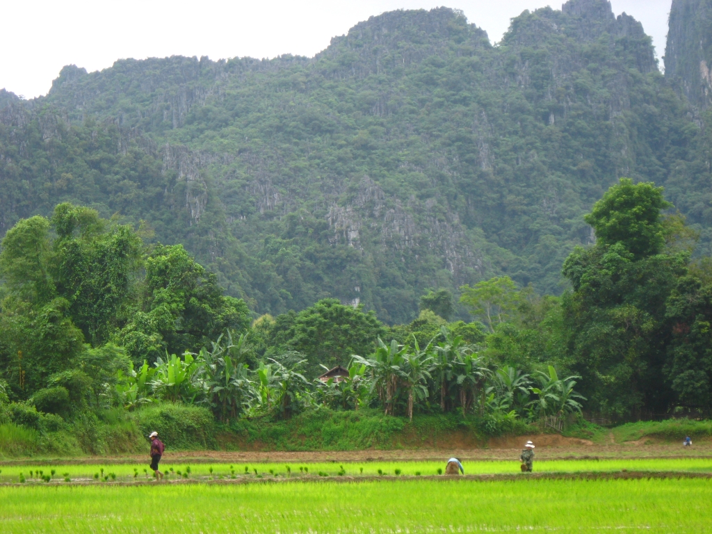 Мы насмотрелись, какой это тяжелый труд