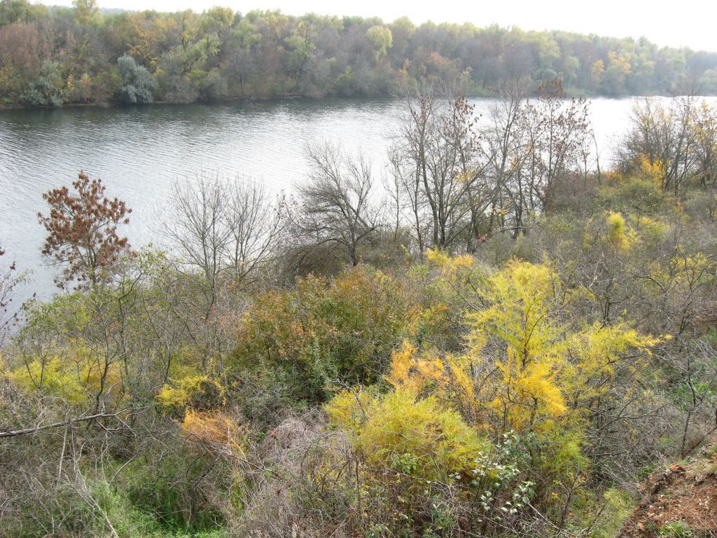 Осенний берег
