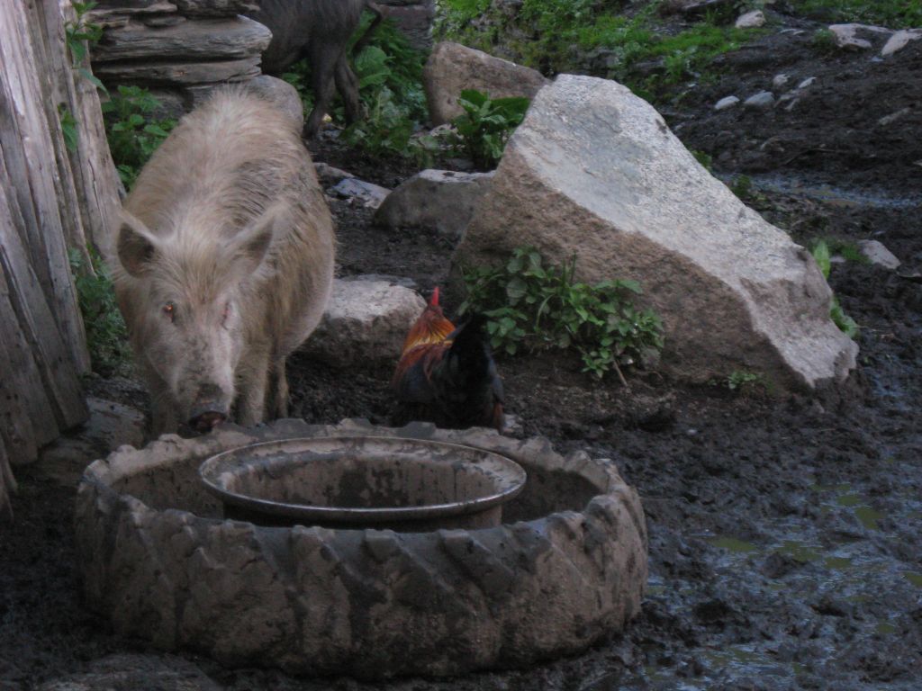 23 IMG 7834