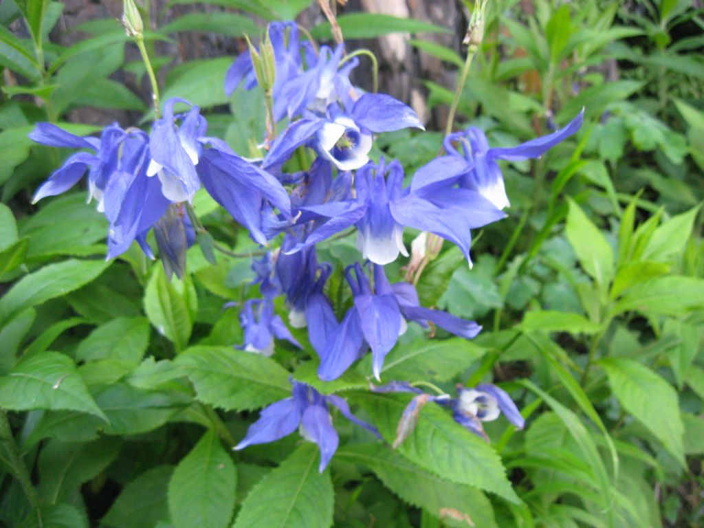 23 IMG 7977