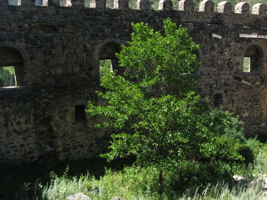 23 IMG 9028