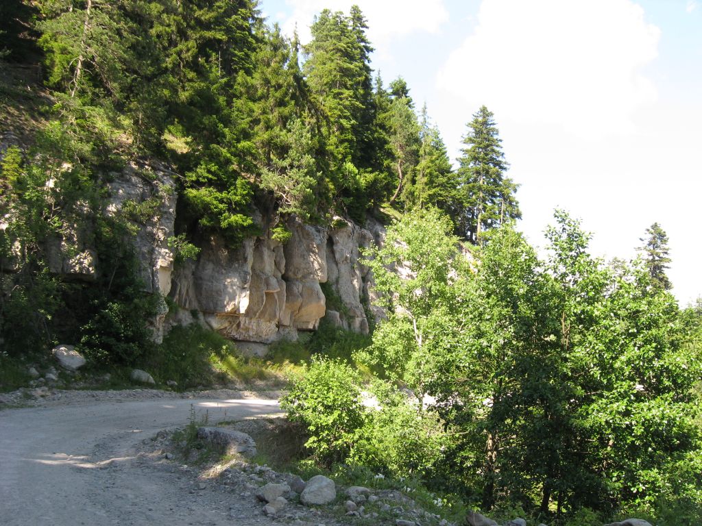 23 IMG 9238