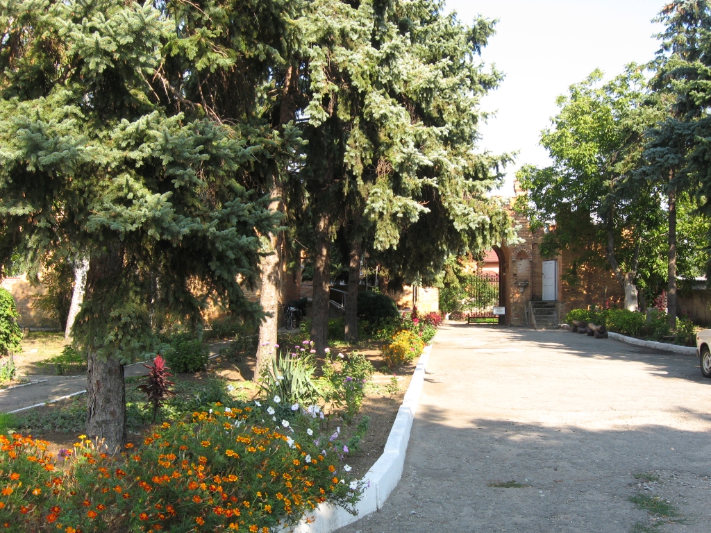 27 IMG 1249