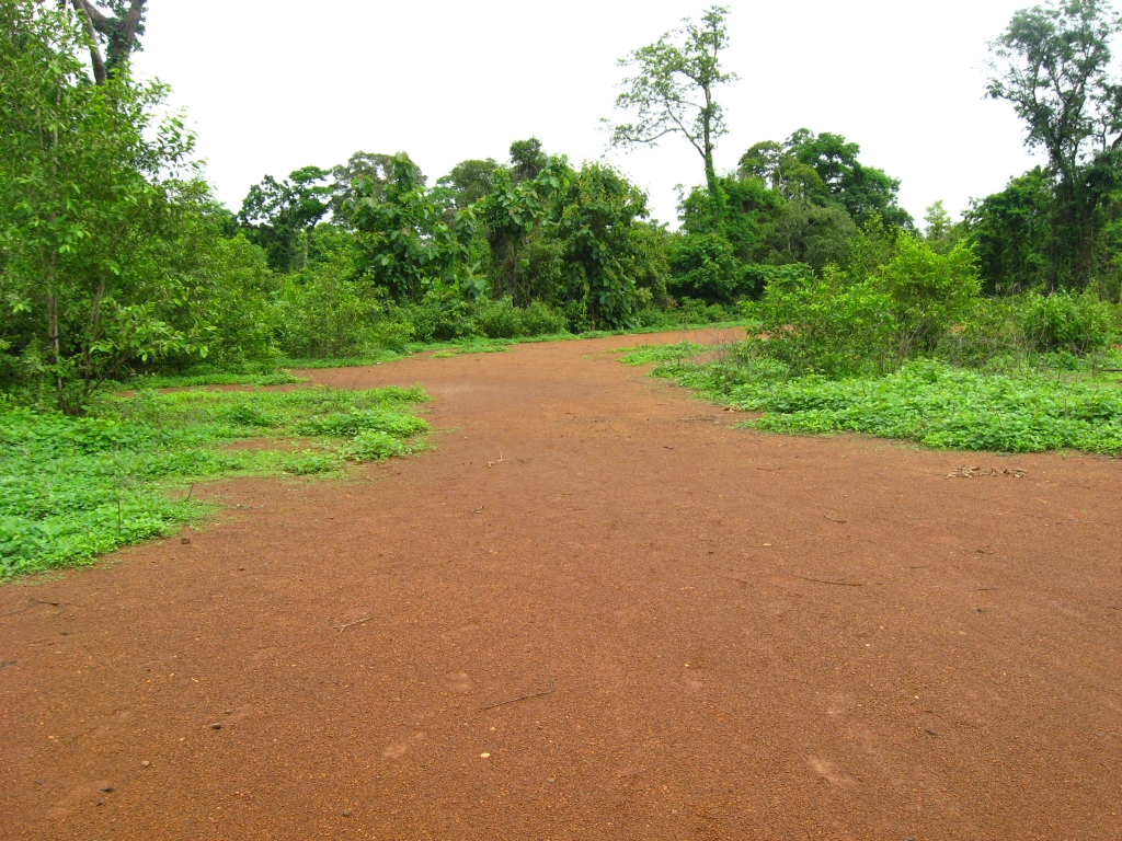 2 IMG 9743