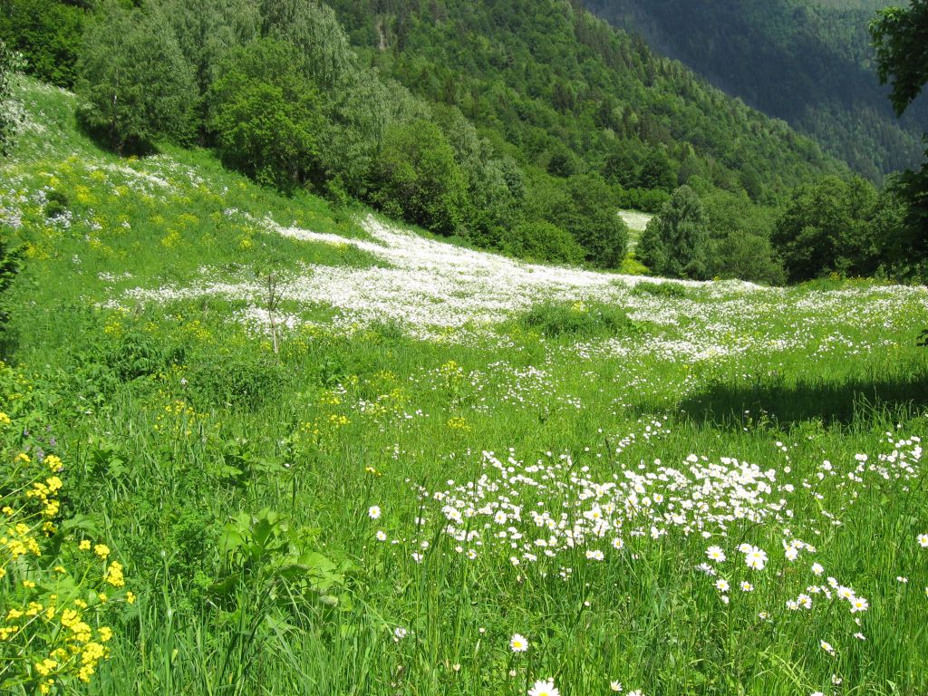 30 IMG 7967