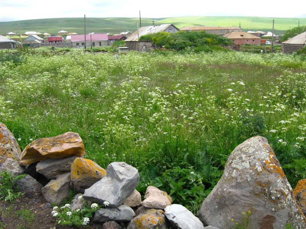 31 IMG 8740