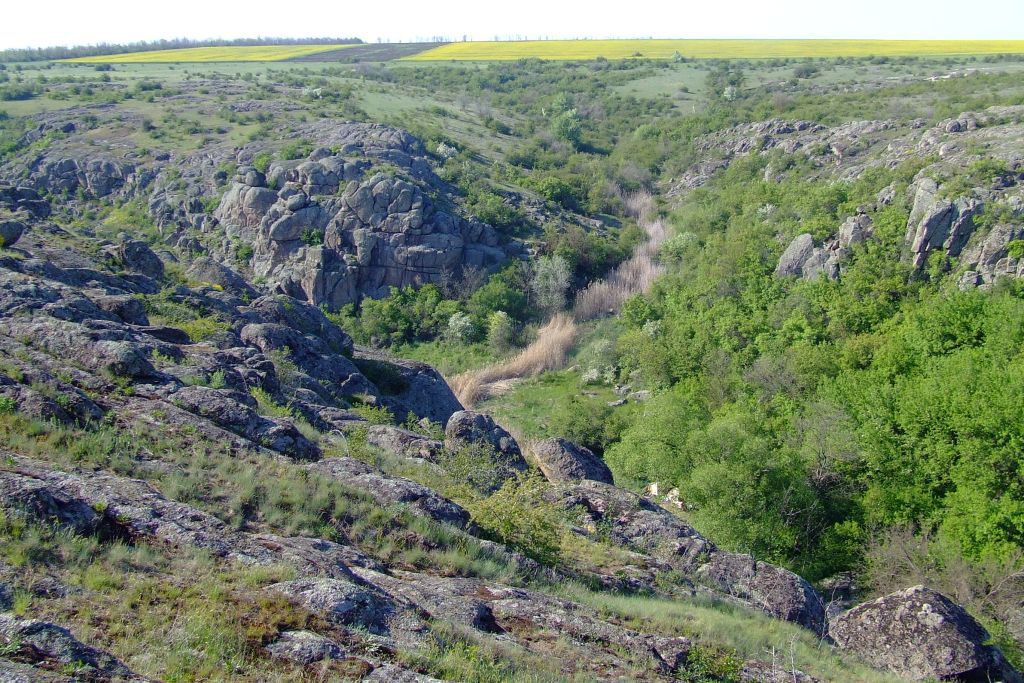 Линия камышей