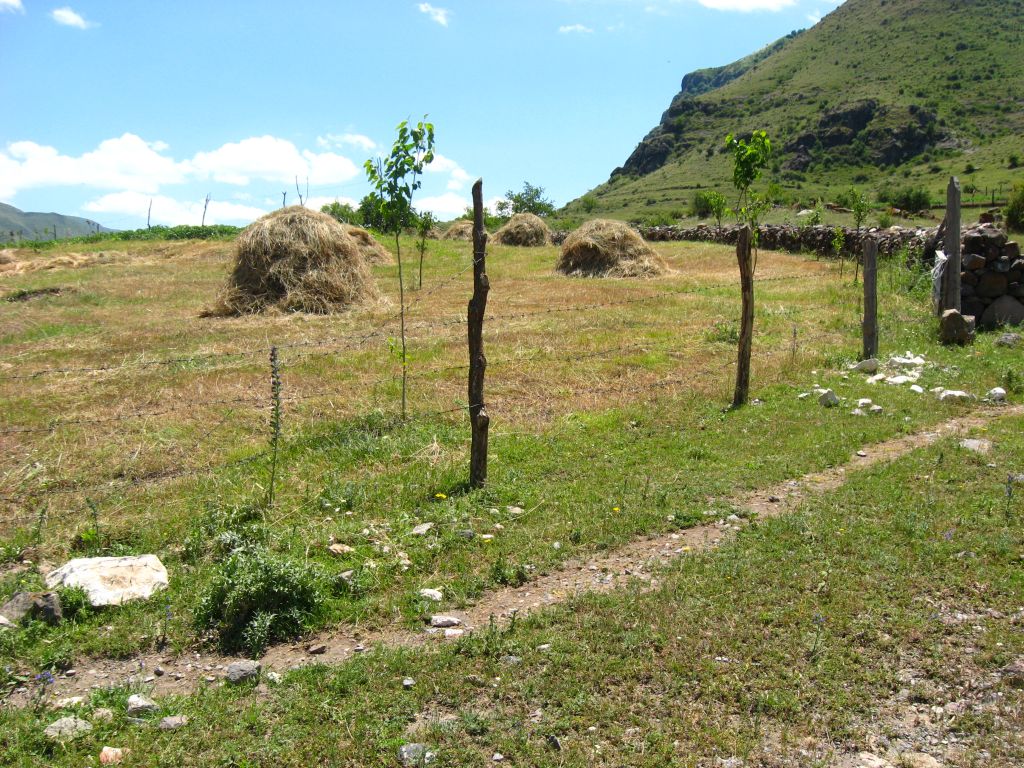 33 IMG 9065