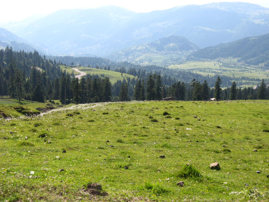 33 IMG 9253