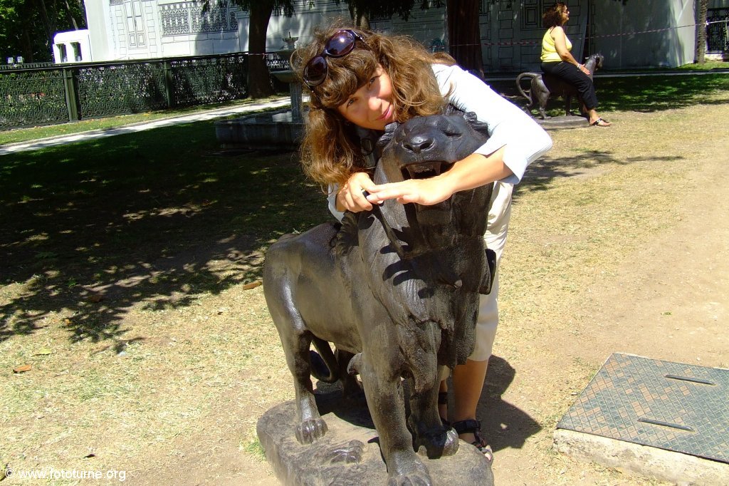 В пасти каменного льва