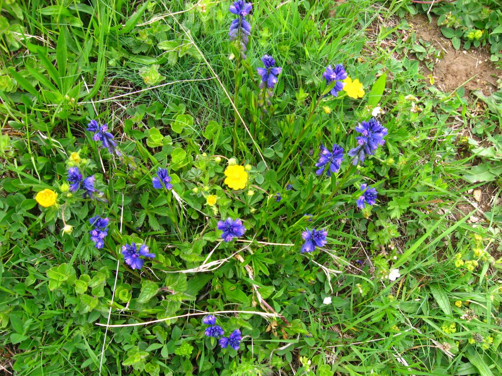 34 IMG 7324