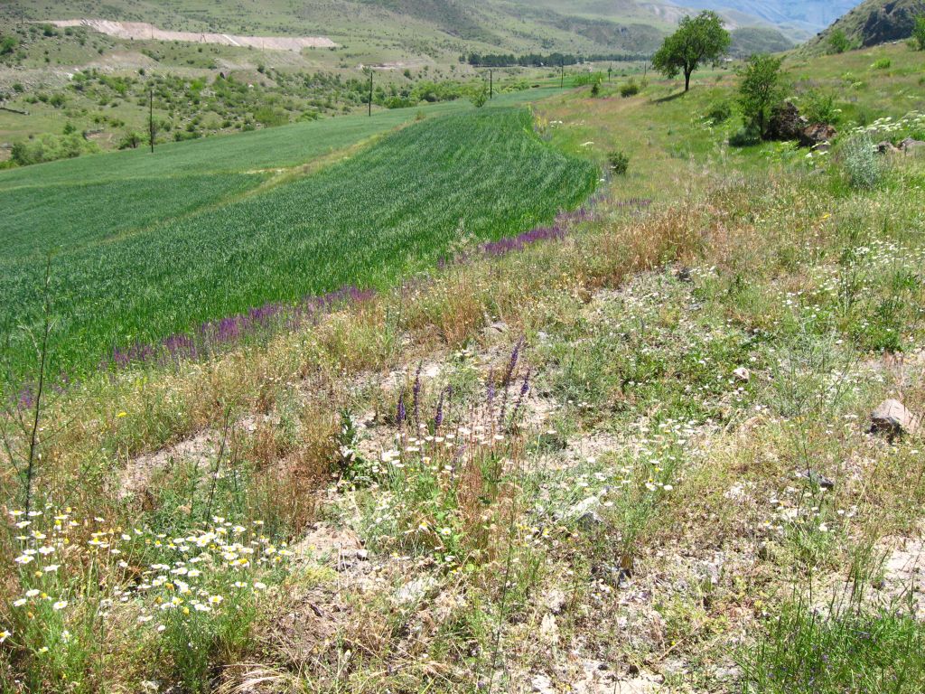 34 IMG 9076