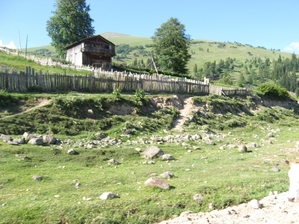 35 IMG 9245