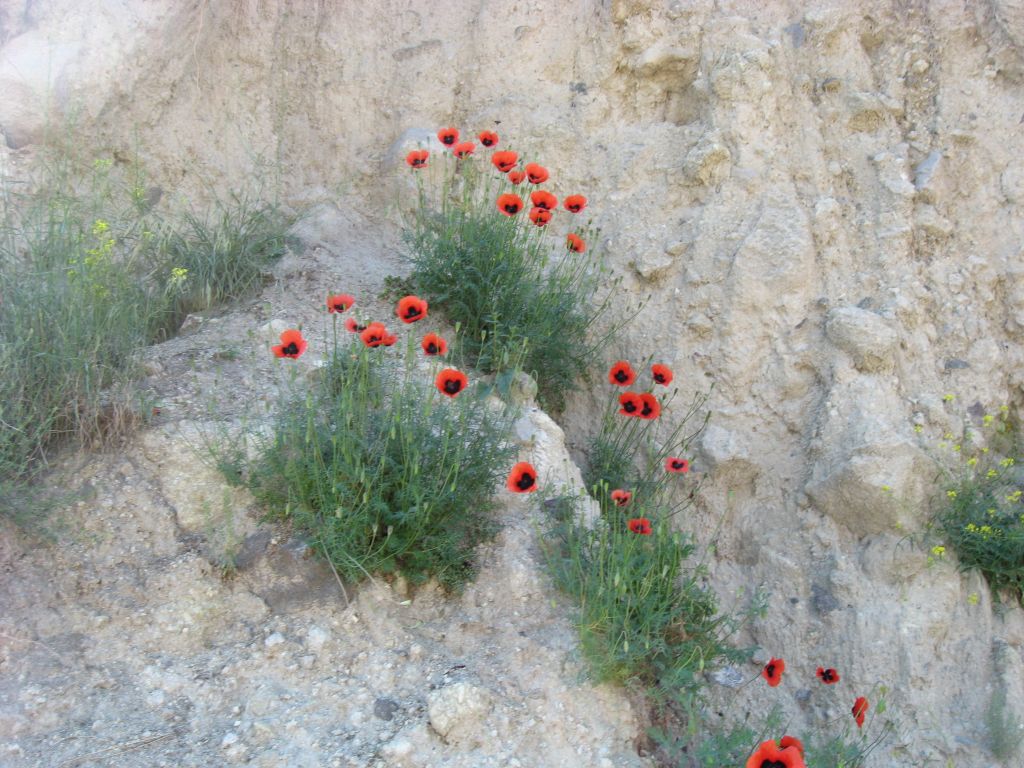 36 IMG 8826