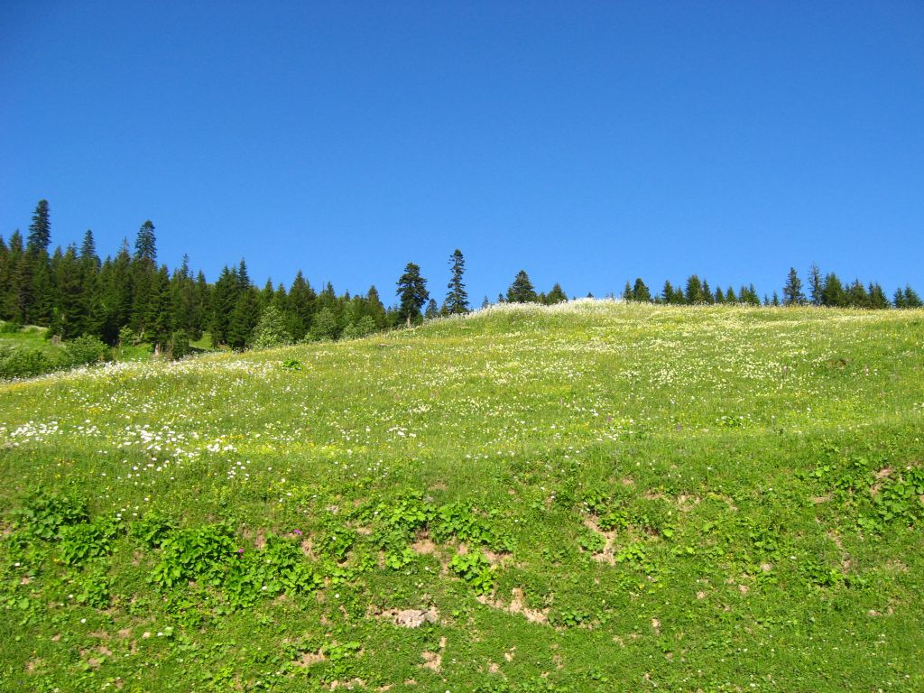36 IMG 9261