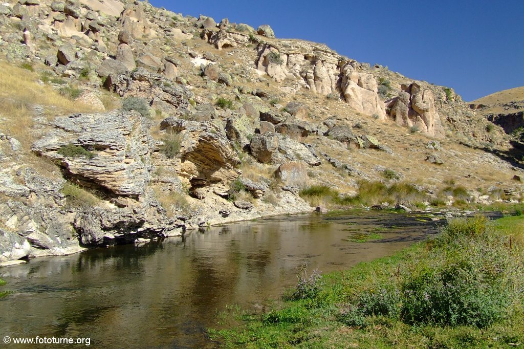 Второй берег был крутым и рос прямо из воды