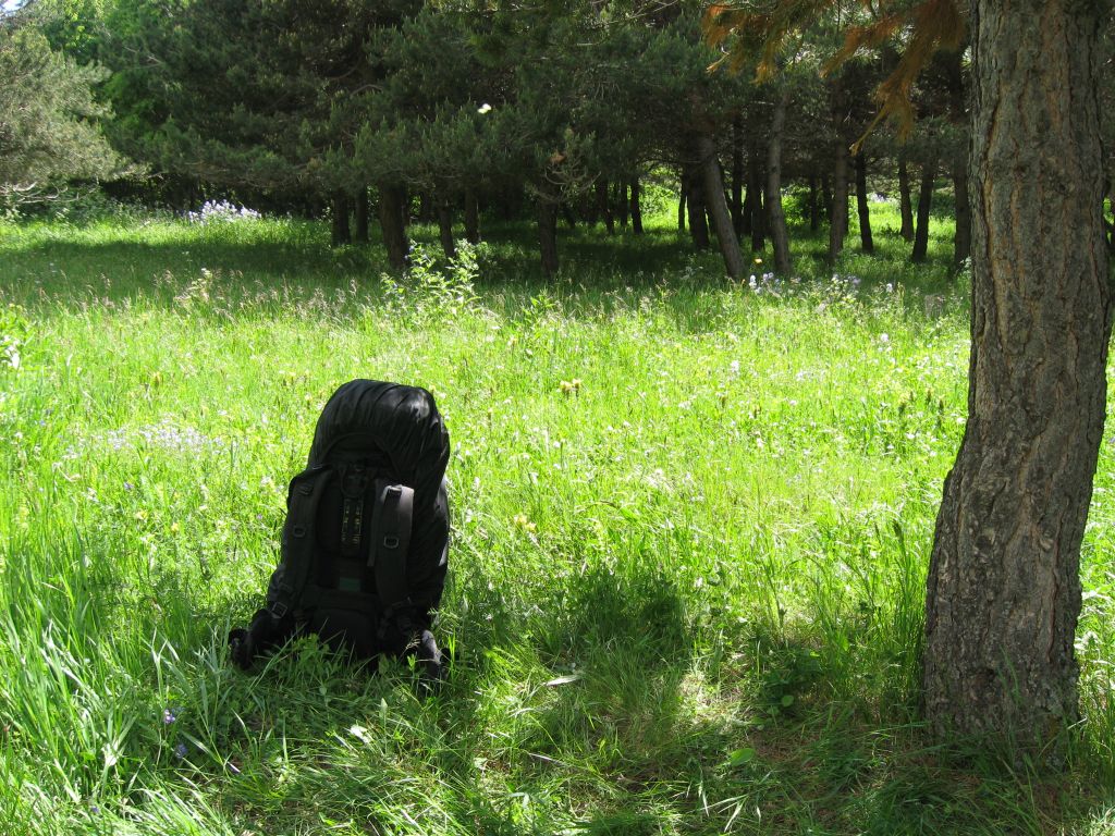 37 IMG 8757