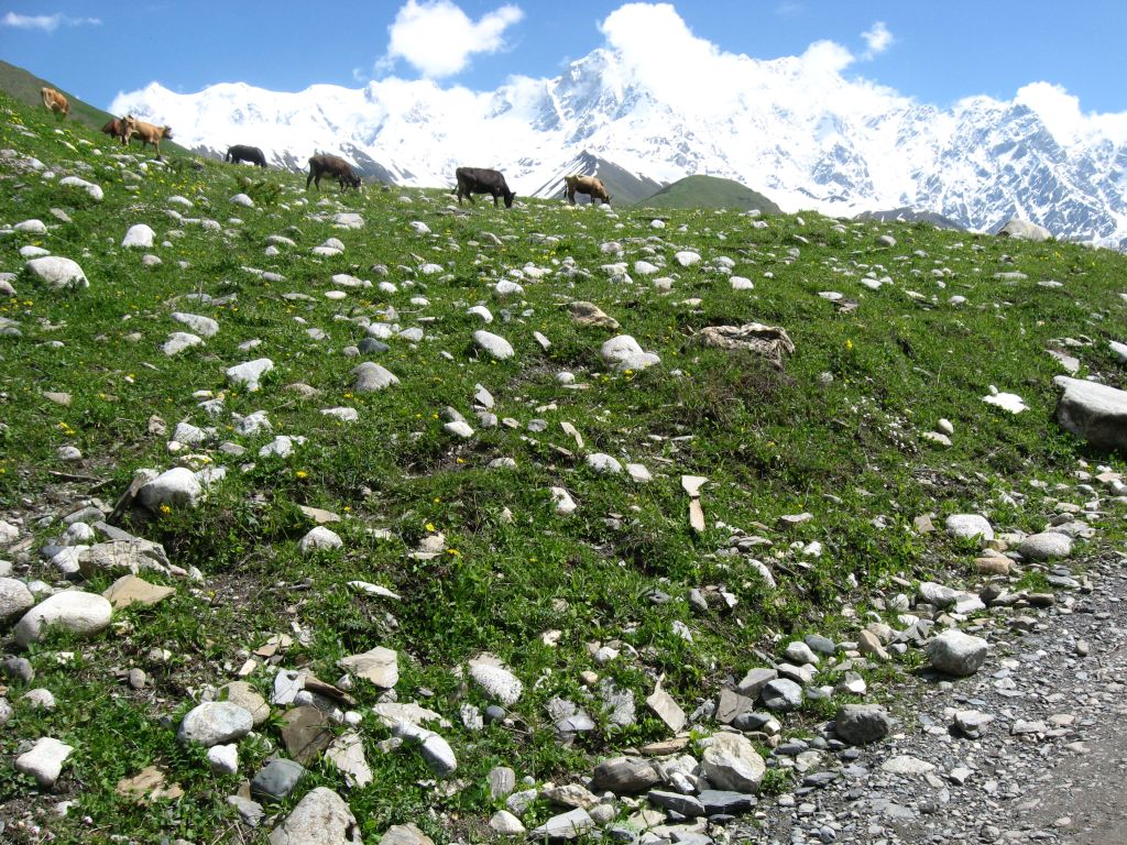 39 IMG 7843