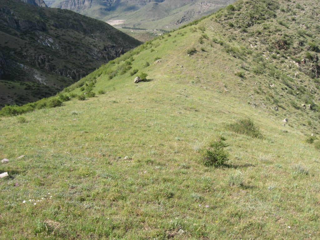 39 IMG 9109