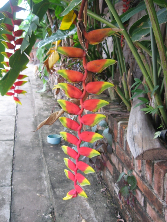 39 IMG 9431